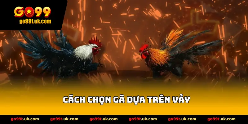 Cách Chọn Gà Dựa Trên Vảy