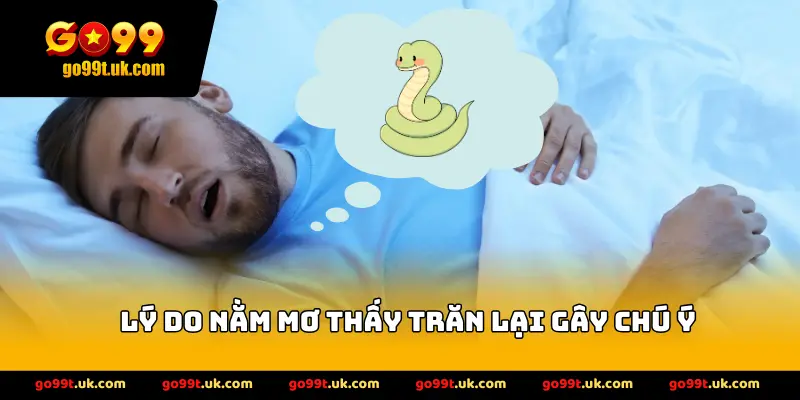 lý do nằm mơ thấy trăn đánh số gì lại gây chú ý