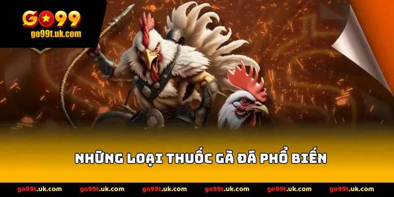 Những loại thuốc gà đá phổ biến